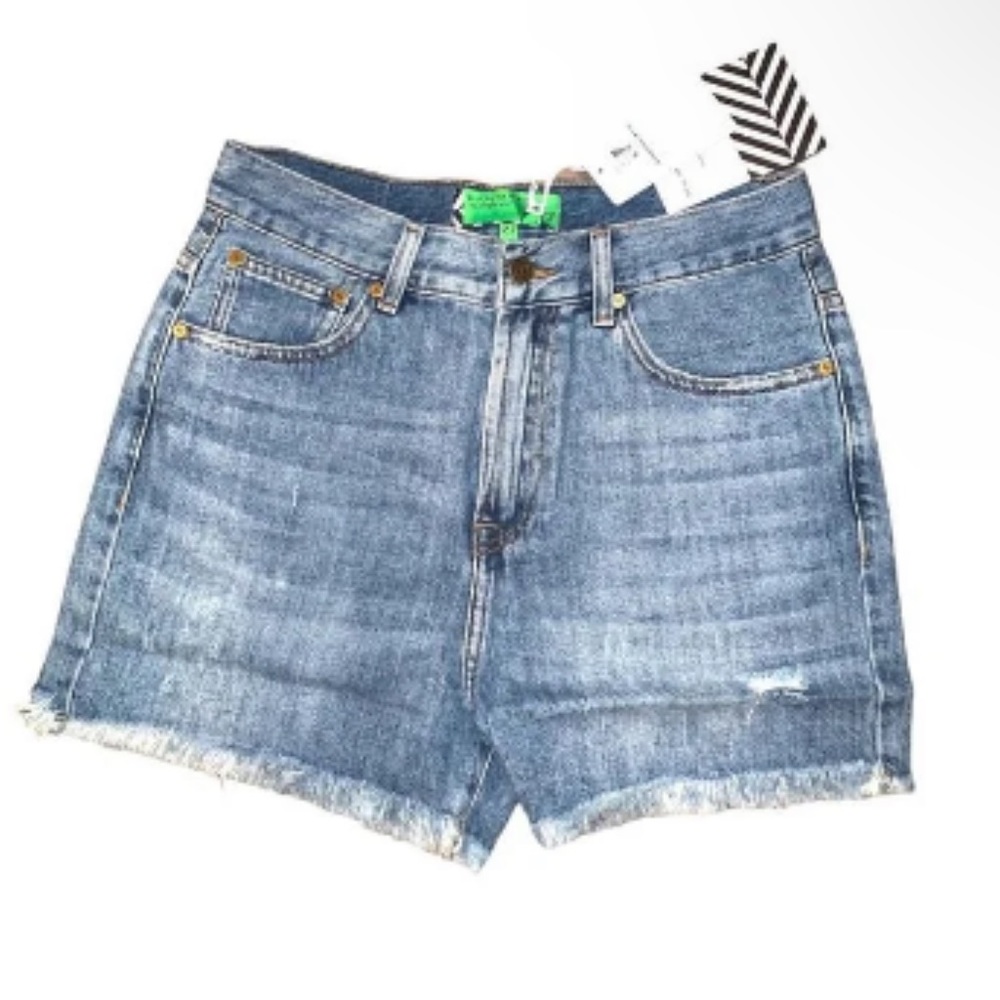 NWT Free People X Sandrine Rose High Waisted Denim Shorts -1